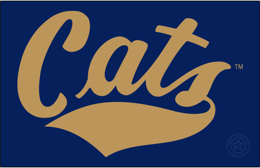 Montana State Bobcats 2017-Pres Wordmark Logo diy DTF decal sticker